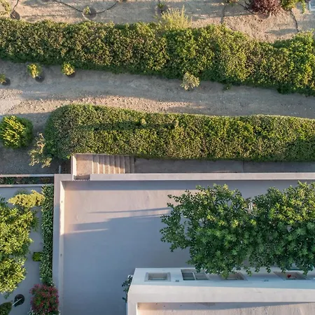 Iris Livadi (Kythira)